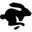 image-285705