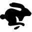 image-967502